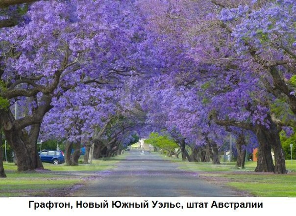 Моменты, запечатлённые на фото и просто позитив 5
