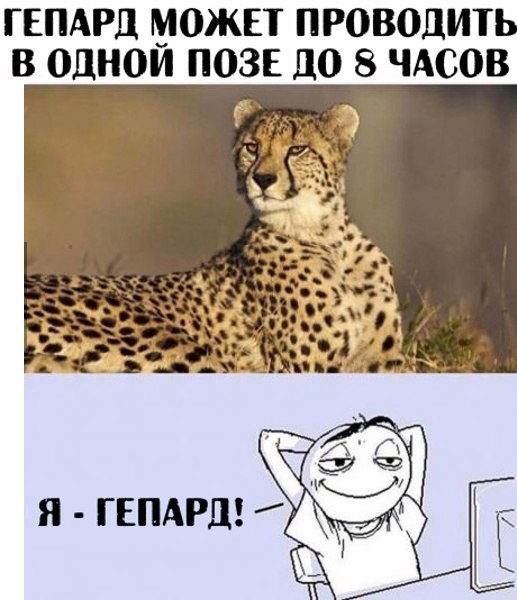 Подборка интересных и веселых картинок
