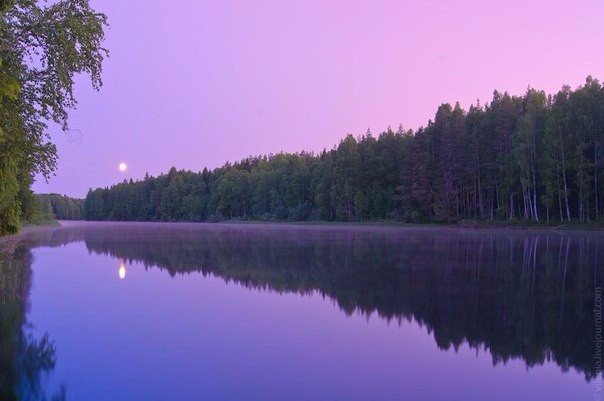Фото интересные и не только