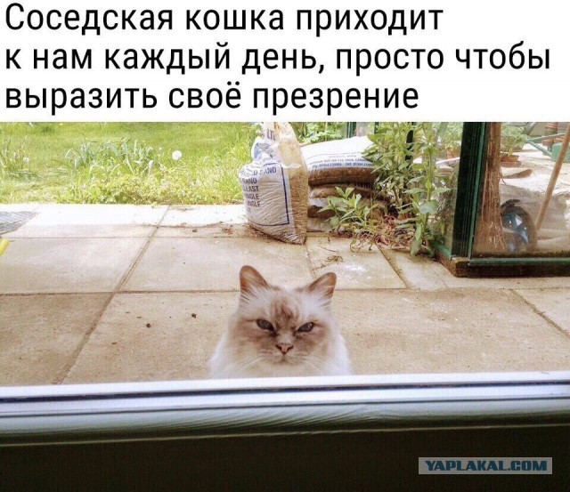 Всякие странные картинки