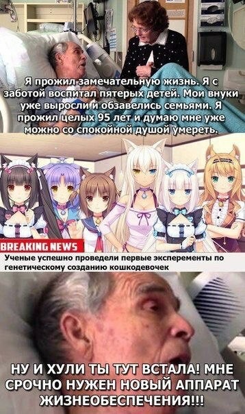 Специфичного юмора псто