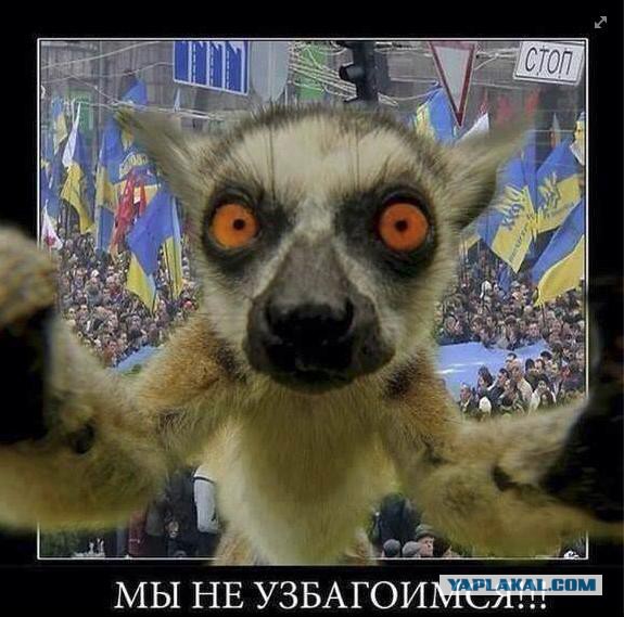 Массовая драка украинских депутатов