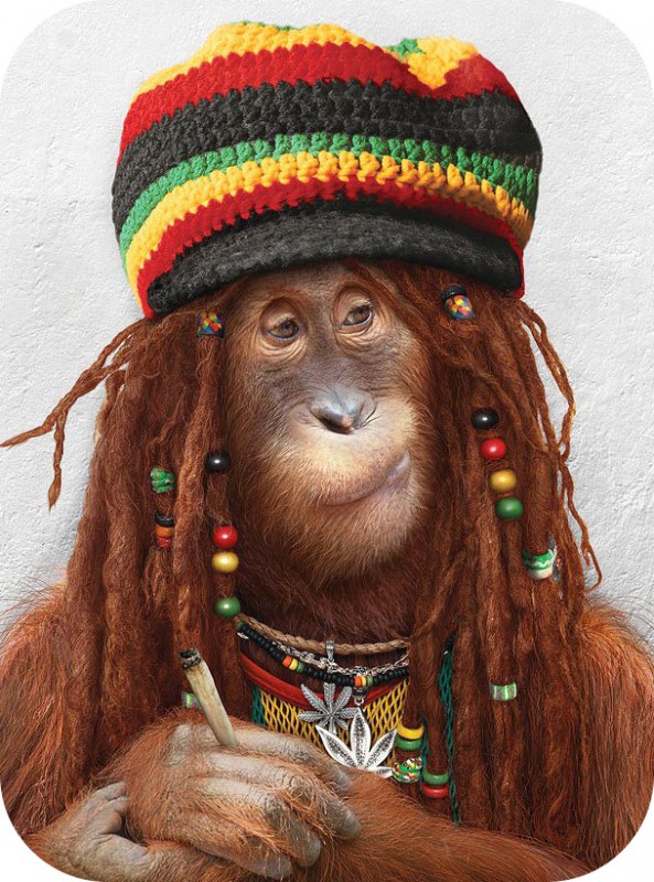 Челове-е-е-е-к!