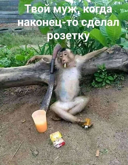 Пара-пара-пам! Фьють