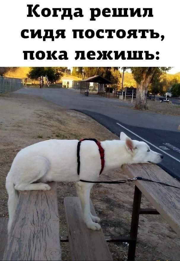 Фотки и картинки с текстом: юморные и красивые, забавные и милые 12.07.21