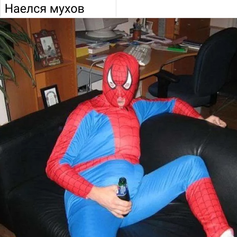 15898171.jpg