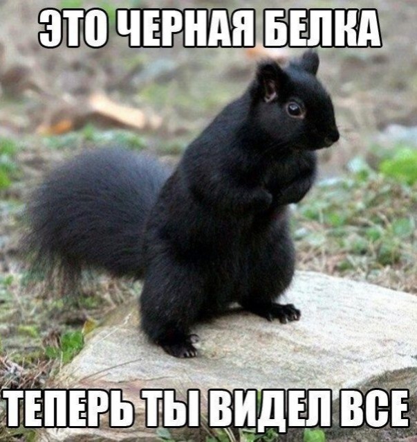 Так себе картинки 12.11.21