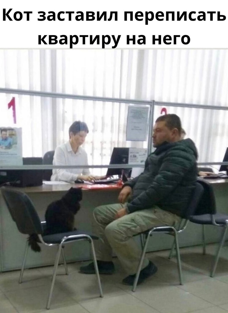 16157171.jpg