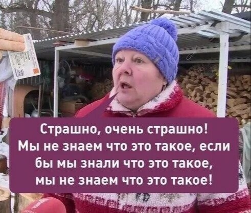 Фильм ужасов из Мексики: одномоментная гибель сотен желтоголовых трупиалов