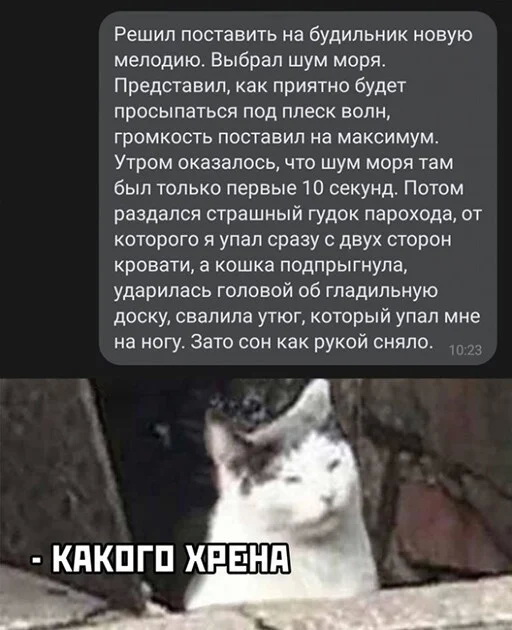 Картинки и мемы для настроения - 133