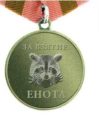 Обращение жены капитана ВС РФ Игоря "Берега" Мангушева