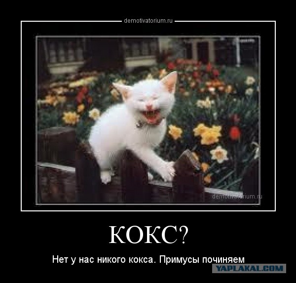 КОКС-1001.2