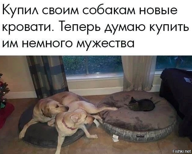 Скупка краденого из сети 06-06-2023