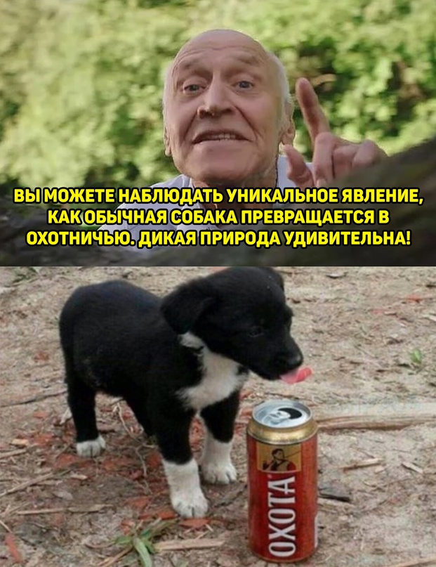 Весёлый полтишок 12.07 23