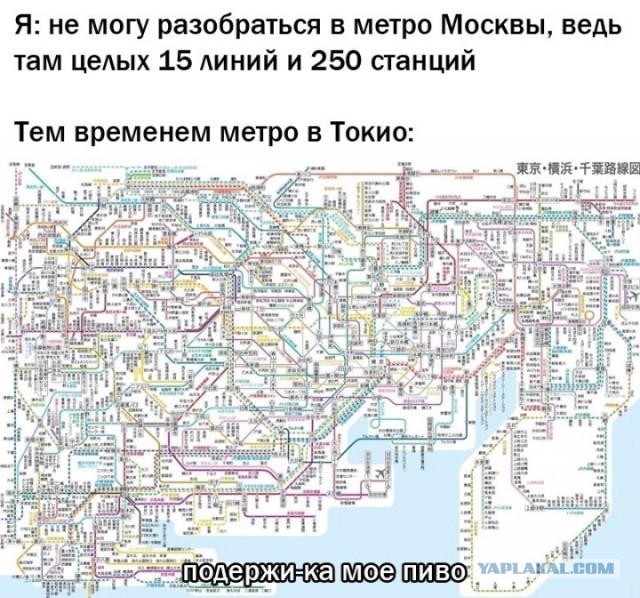 Всего понемногу. От 03.08.23