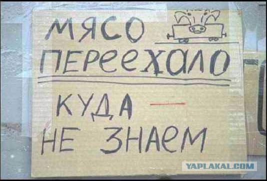 Якась скотина