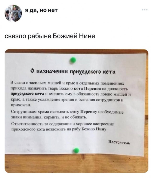 Забавные комментарии из социальных сетей (11.12.23)