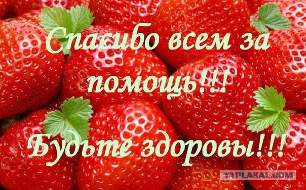 Прошу помощи! Пропали люди!