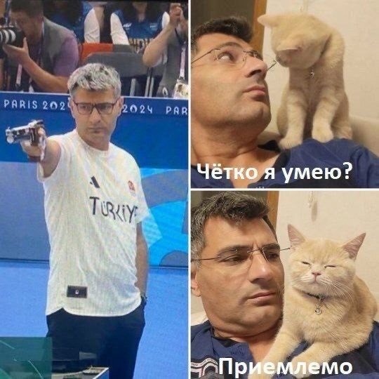 По поводу алжирца, который избивает баб на ринге