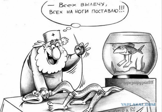 Ну, разбавим вторник позитивом!