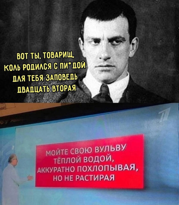 Утро баяном не испортишь