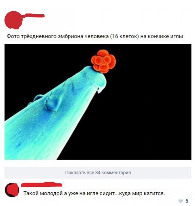 50 оттенков дичи