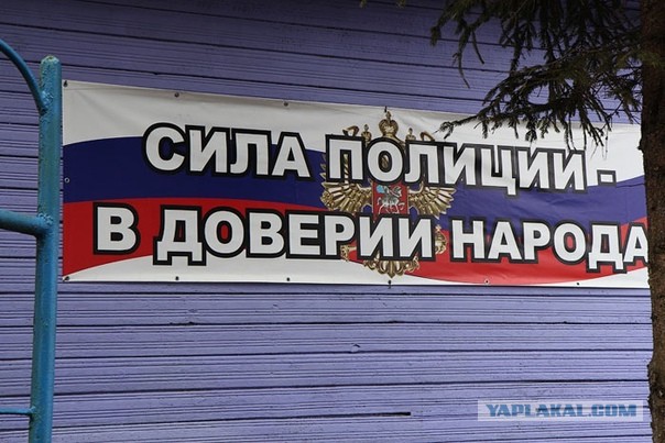 В Московской области раскрыта крупная ОПГ из подмосковных полицейских