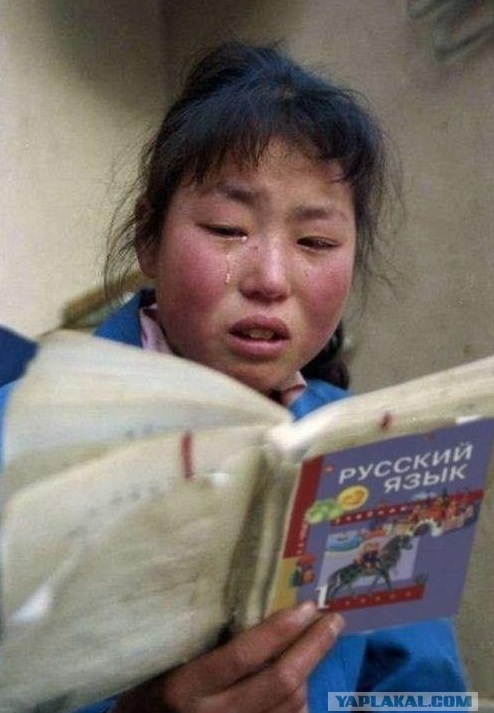 Черепахе показали как ускориться