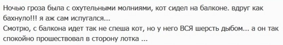 Наш двор