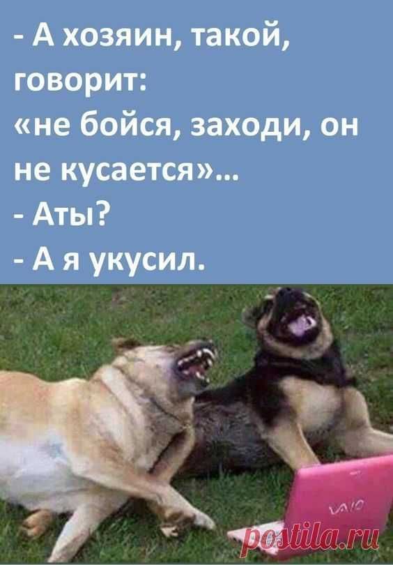 Прикольные и просто красивые картинки 15.08.2025