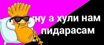 Вышел профи из тумана