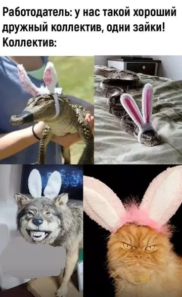 Картиночки, баянчики 04 марта