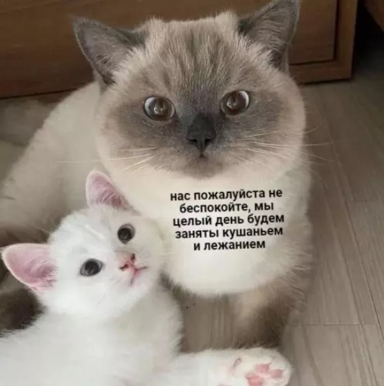 Картиночки, баянчики 30 мая