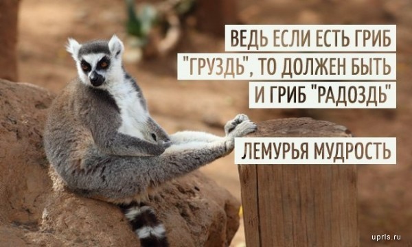 Об иллюзиях теток 40+ и их молодых мужчинах
