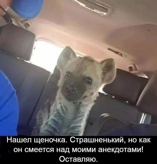 Картинки для деградации 287 (разной степени свежести)