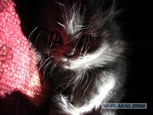 Любимые фотографии