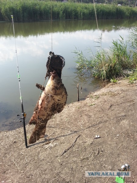 Как провести день, или сказка наяву!