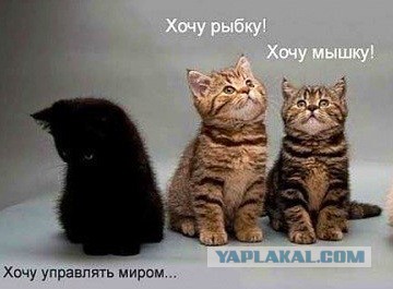 Покруче будет