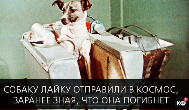 25 интересных фактов.