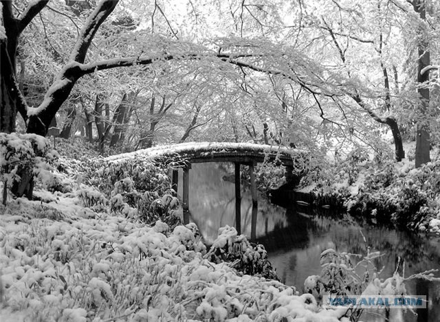 Ледяная зима