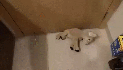 Очень жёсткая гифка