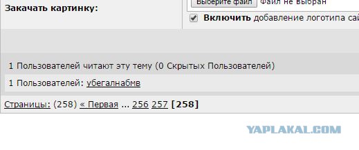 У меня грустные новости для соЯПовца. Слава Новиков тут есть?