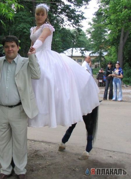 Свадьба, женихи и невесты
