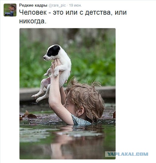 Картинки всякие