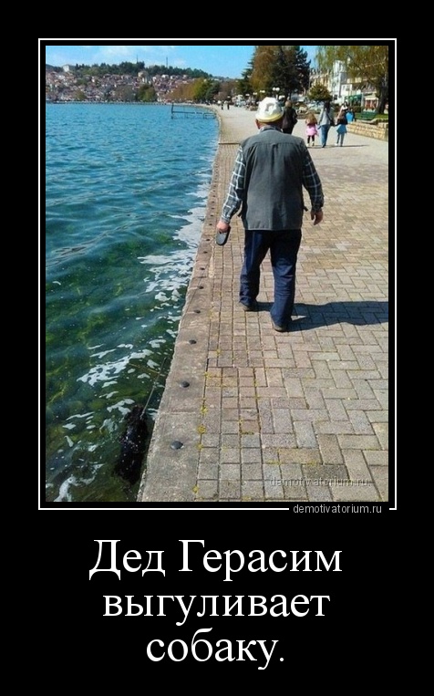 Подборка интересных и веселых картинок