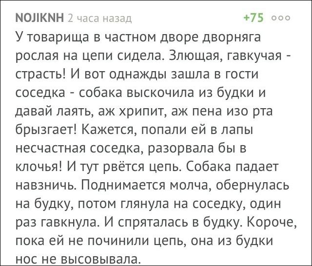 Смешные комментарии из социальных сетей 25.11.2016