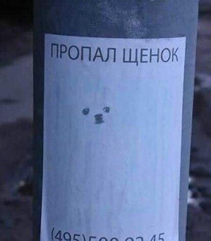 Деградация на ЯПе