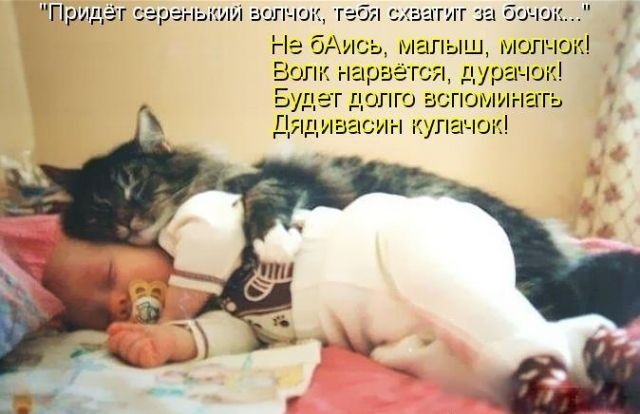 Смешные комментарии из социальных сетей 04.08.2017