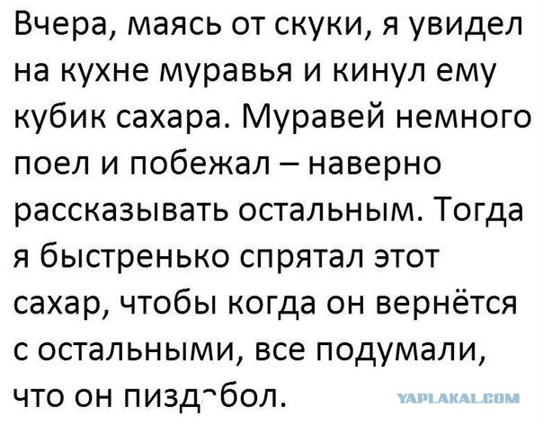 Мизантропируем дальше