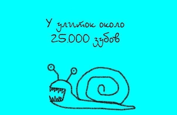 С миру по нитке-7